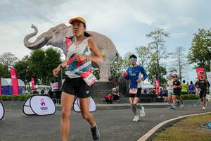 BIB: 
                            <button type="button" onclick="openModal(26528800)" class="btn btn-primary btn-sm float-right btn-popup" data-toggle="modal" data-target=".modal-high-quality">
                        <i class="fas fa-shopping-cart"></i> Add to Cart
                    </button>
                                            <button type="button" onclick="isThisMe(26528800, true)" class="btn btn-success btn-sm float-right btn-popup btn-isme hidden" data-toggle="tooltip" data-placement="bottom" title="นี่คือรูปของคุณใช่ไหม คลิกที่นี่เพื่อเอาเข้าอัลบั้ม">
                        <i class="fas fa-plus"></i> Add to album
                    </button>
                    <button type="button" onclick="isThisMe(26528800, false)" class="btn btn-warning btn-sm float-right btn-popup btn-isnotme hidden">
                        <i class="fas fa-ban"></i> Remove from album
                    </button>